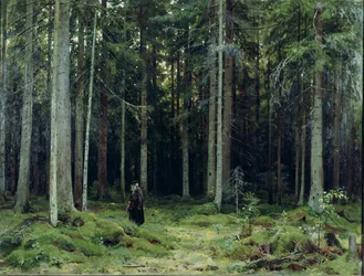 Mordvinov grófné erdeje, 1891